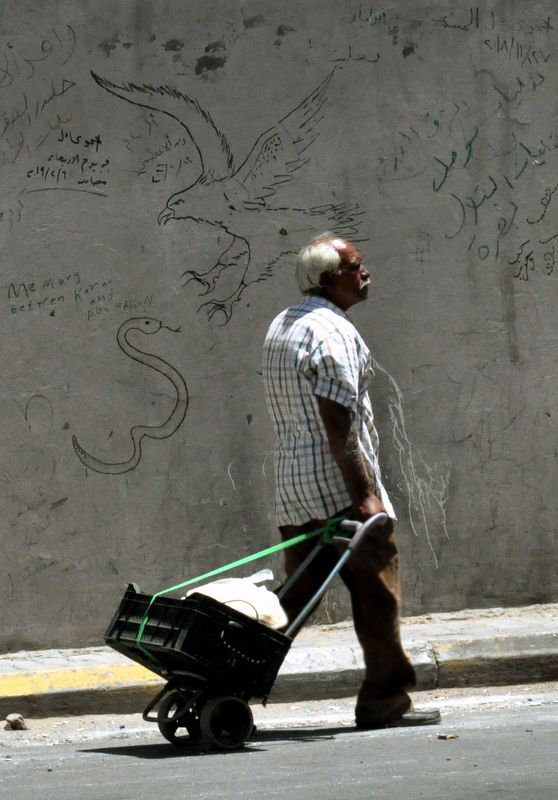 A struggle for survivalphoto preview