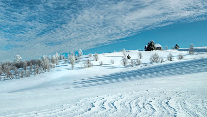 Фактура Весныphoto preview