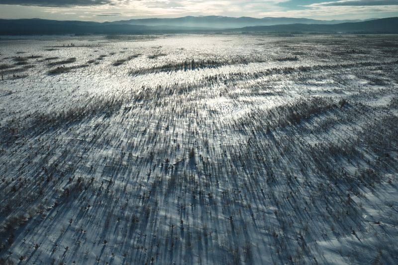 Стремление к солнцу фото превью