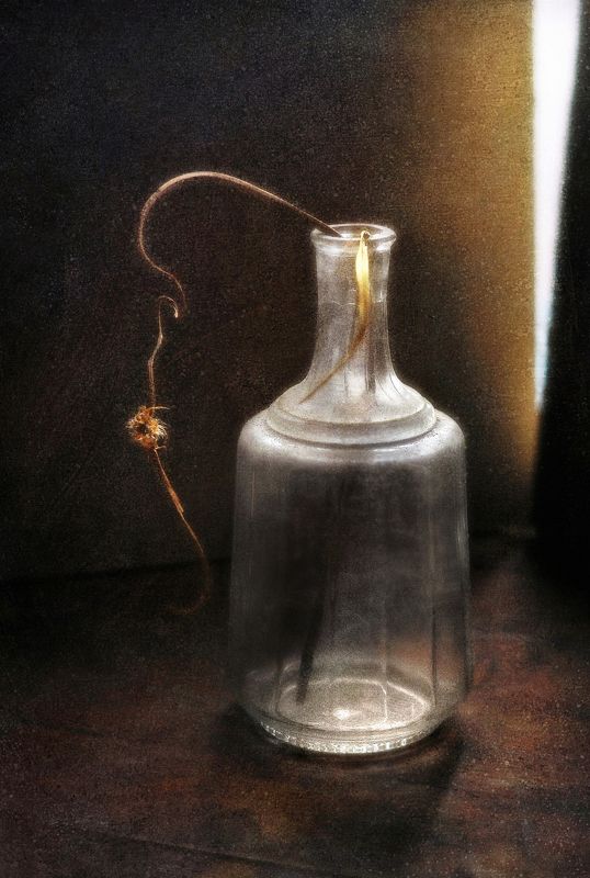 Объятия весеннего светаphoto preview