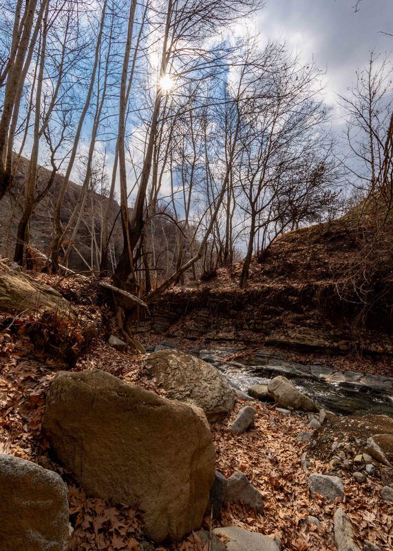 Winter without snow фото превью