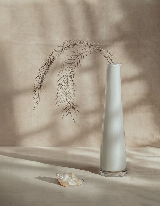 Светphoto preview