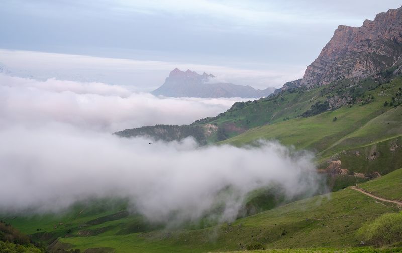 ингушетия, эрзи, горы, облака Утро в облаках... / Morning in the clouds...photo preview