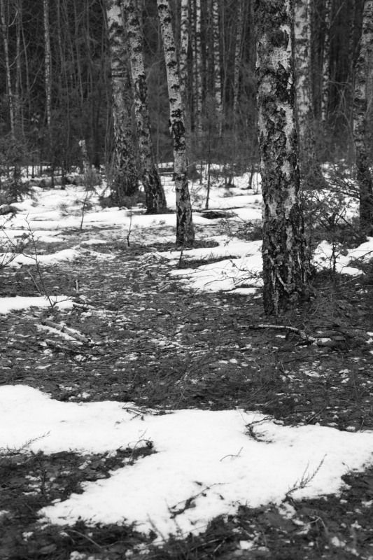 Весенние денькиphoto preview