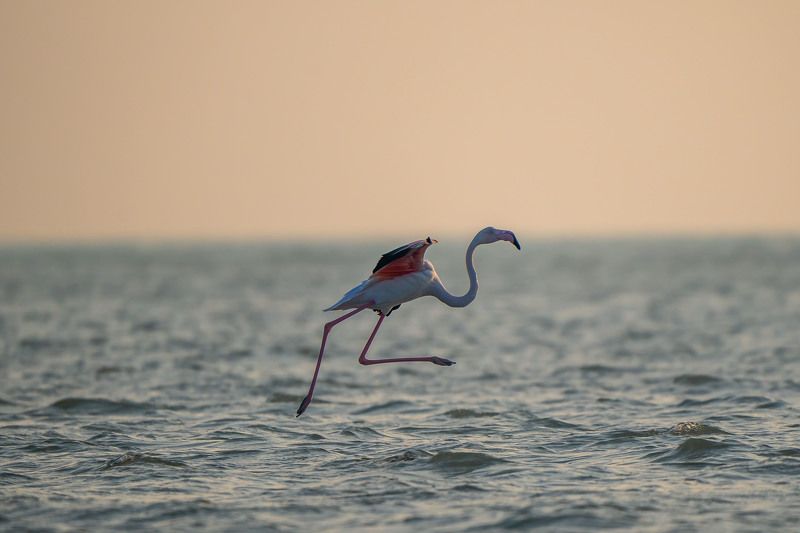 take offphoto preview