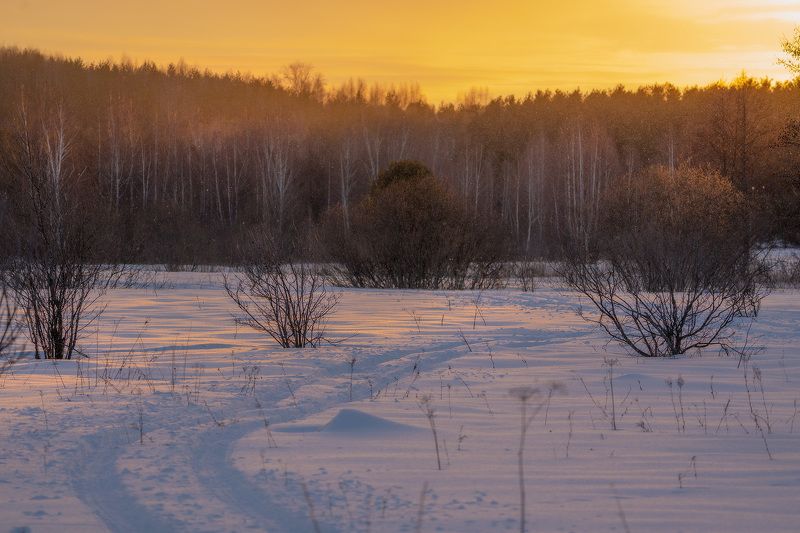 Закат на просторах поймыphoto preview