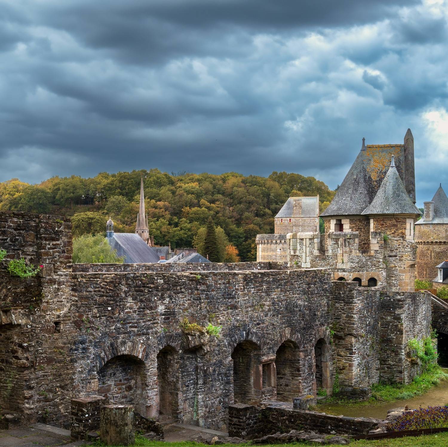 , Шимаковский Юрий