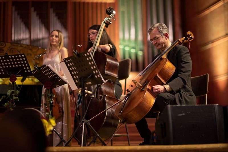 Пауза фото превью