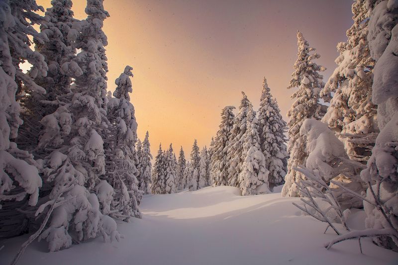 Таганай, Урал, Восход  Восход на Таганае фото превью