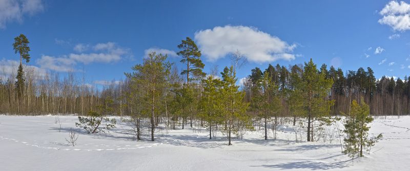 Весна светаphoto preview