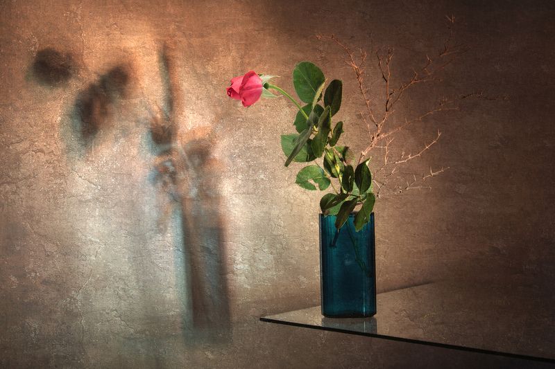 color, colors, color image, digital, editing, flower, green, photograph, photography, red, rose, still life, Small Rose Still Lifephoto preview