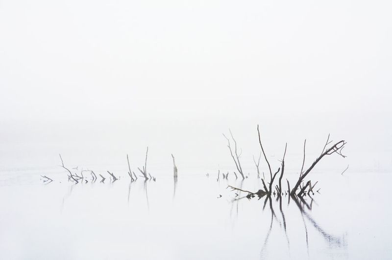 У прудаphoto preview