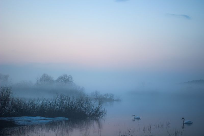 ********photo preview