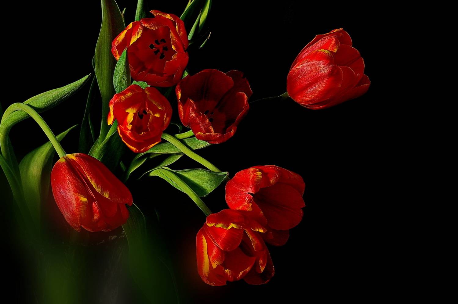 , Николаев Владимир