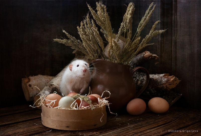 Блины будутphoto preview