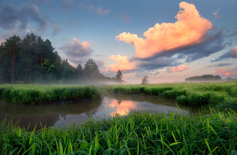 Завиток ... фото превью