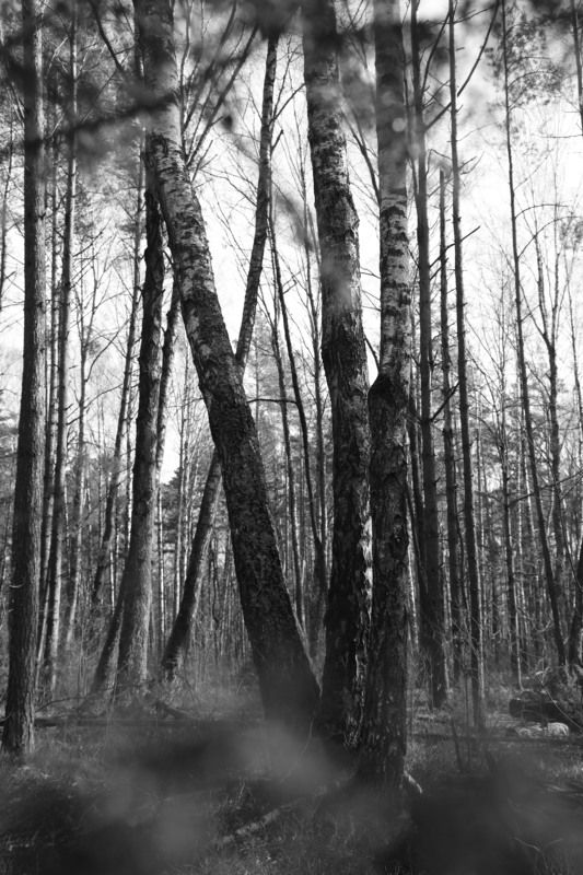 Три сестрыphoto preview