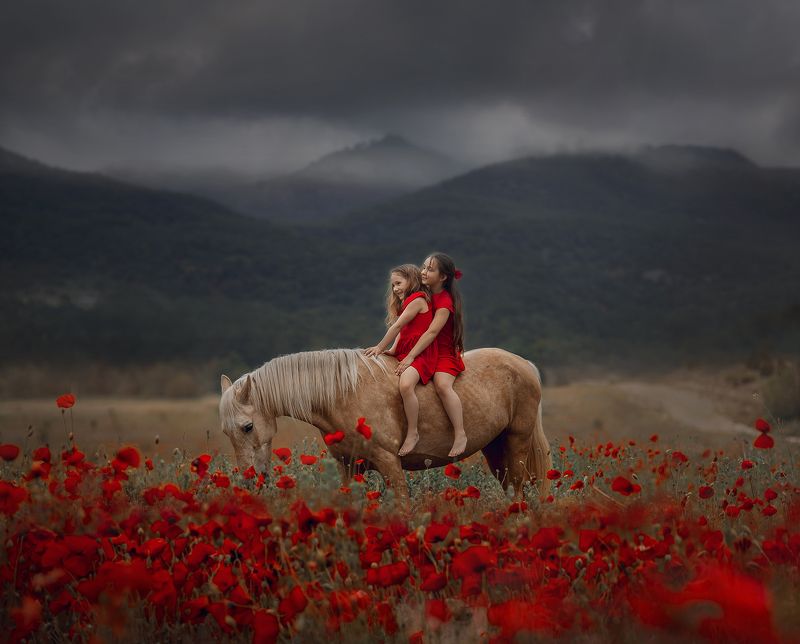 Poppiesphoto preview