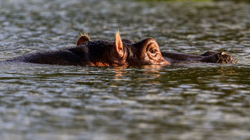 Закатphoto preview