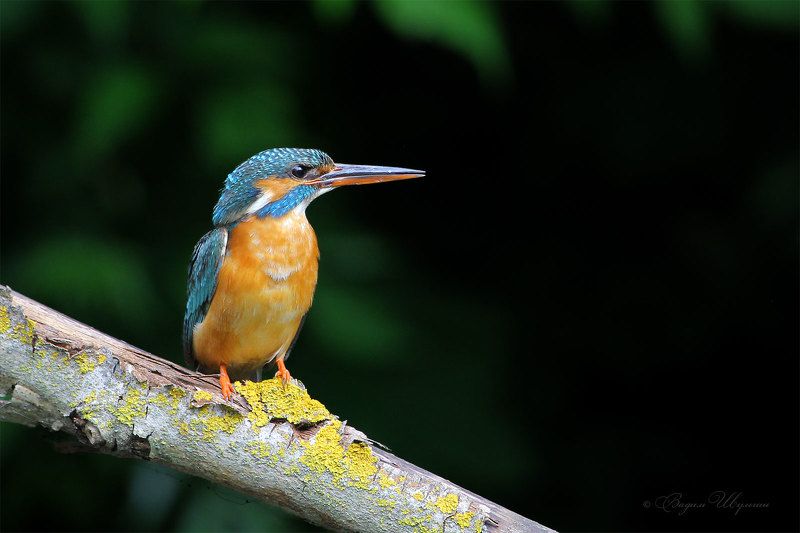 Короткий отдыхphoto preview