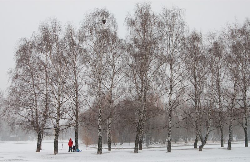 Зимние прогулкиphoto preview