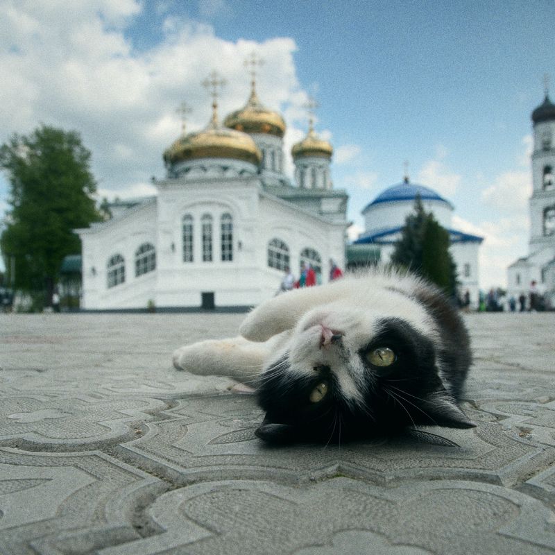 раифа, казань Раифский вымогательphoto preview