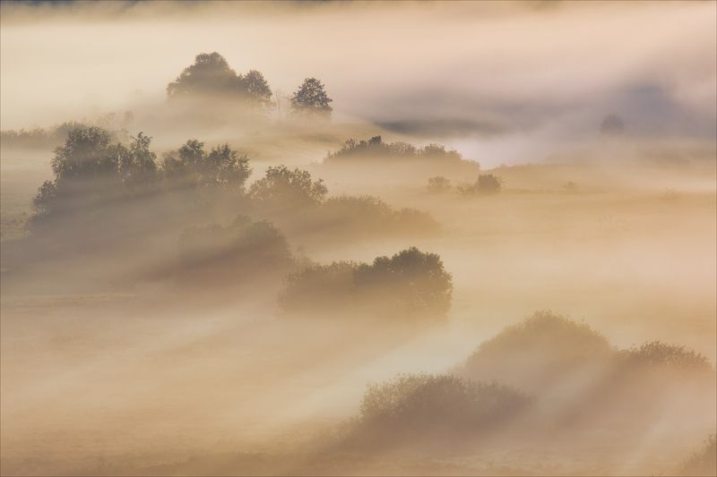Хороши туманы на рассвете.photo preview