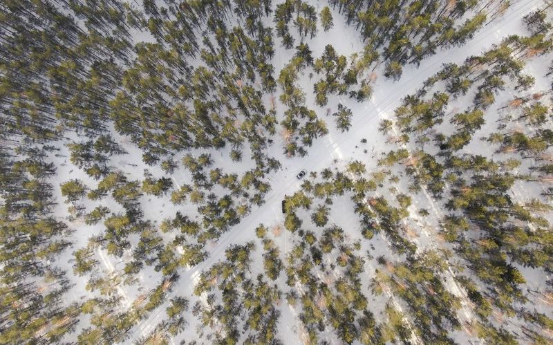 #harjumaa #kõnnusuursoo #eesti #estonia #swamp #eestirabad #bog #bogs #nature #loodus #eestiloodus #ilusadeestipaigad #hikingtrails #hikingtrail #winterwonderland #wintertrail #nature_of_estonia #dronephotography #drone #dji #djiphotography #estoniafroma ---photo preview