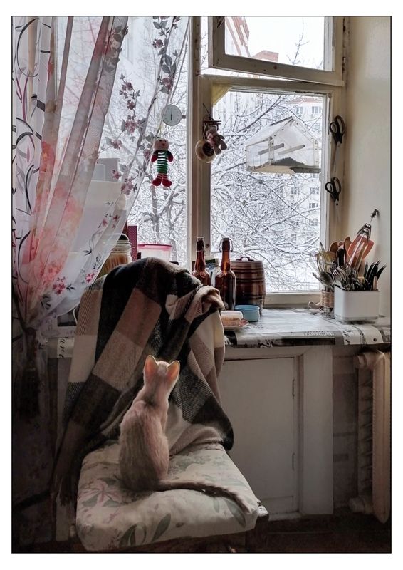 Знакомство с миромphoto preview