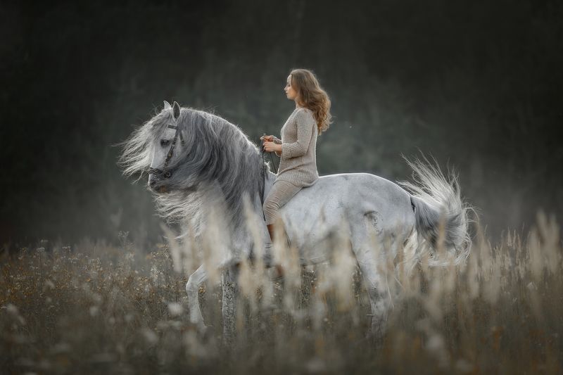 Passionphoto preview