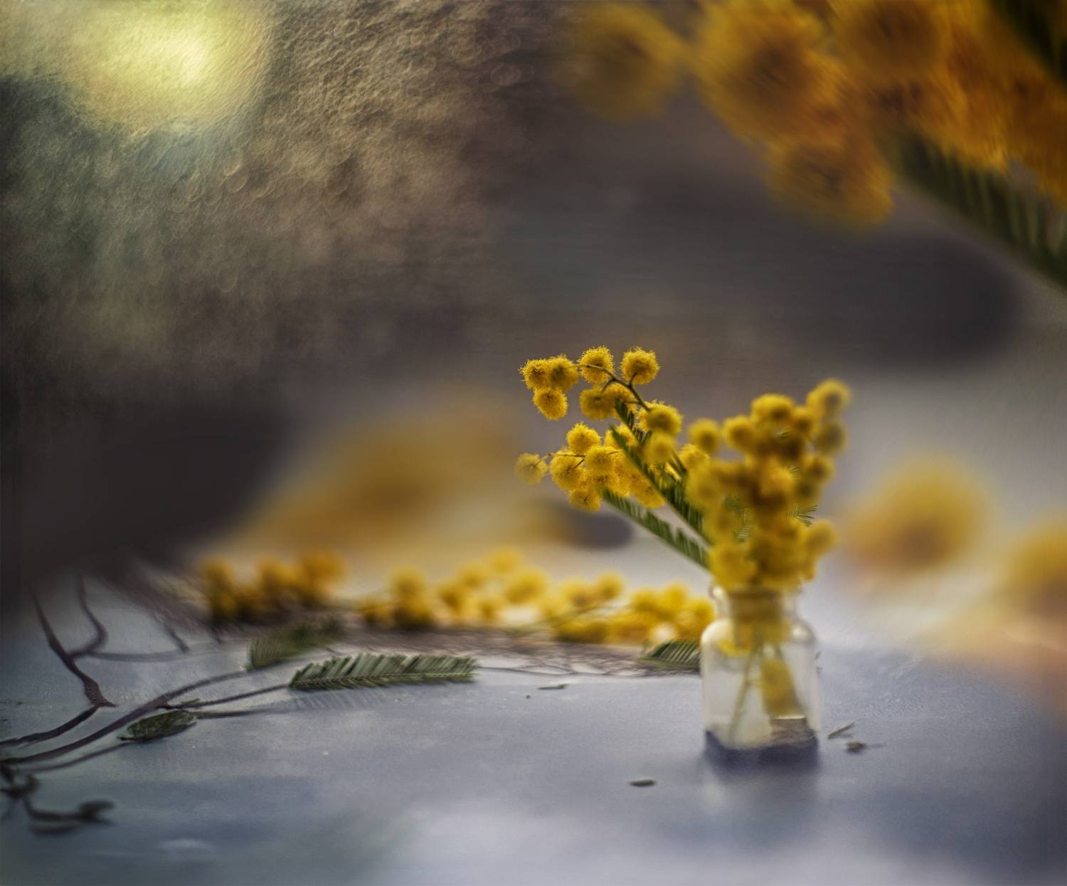 , Сигидова Ирина