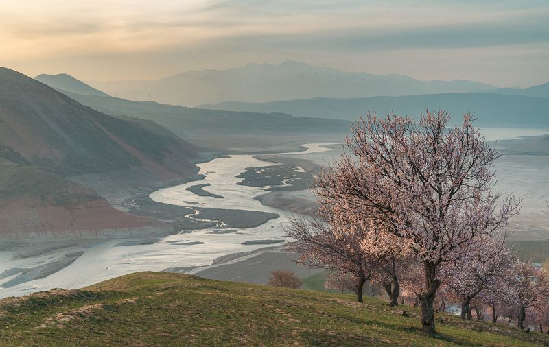 узбекистан, чарвакское водохранилище photo preview