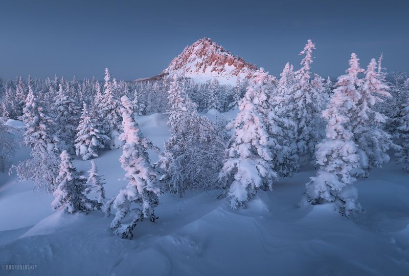 таганай, южный урал, елки, рассвет, иней, снег, зима, откликной гребень. Откликной гребеньphoto preview