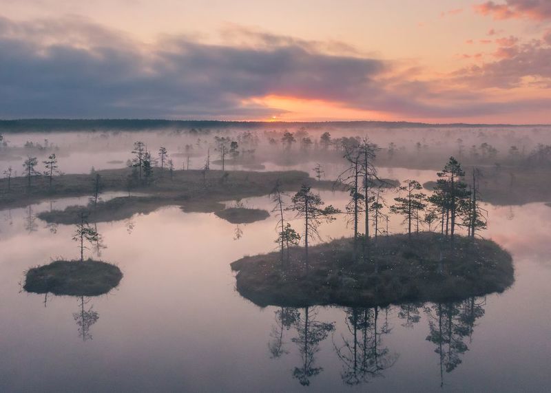 #estonia #estoniabogs #nature_of_estonia #naturelovers #sunrise_sunset_photogroup #sunriseoftheday #foggymorning #foggy #bog #kõnnusuursoo #visitharju #visitestonia #earlymorningwalk #morningmotivation #sunrise_sunsets #dji #drone #aerial #djiphotography  ---photo preview