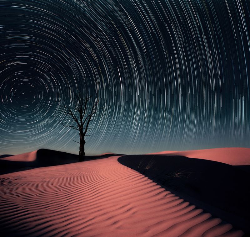 desert, tree, startrails, stars, night, sky *photo preview