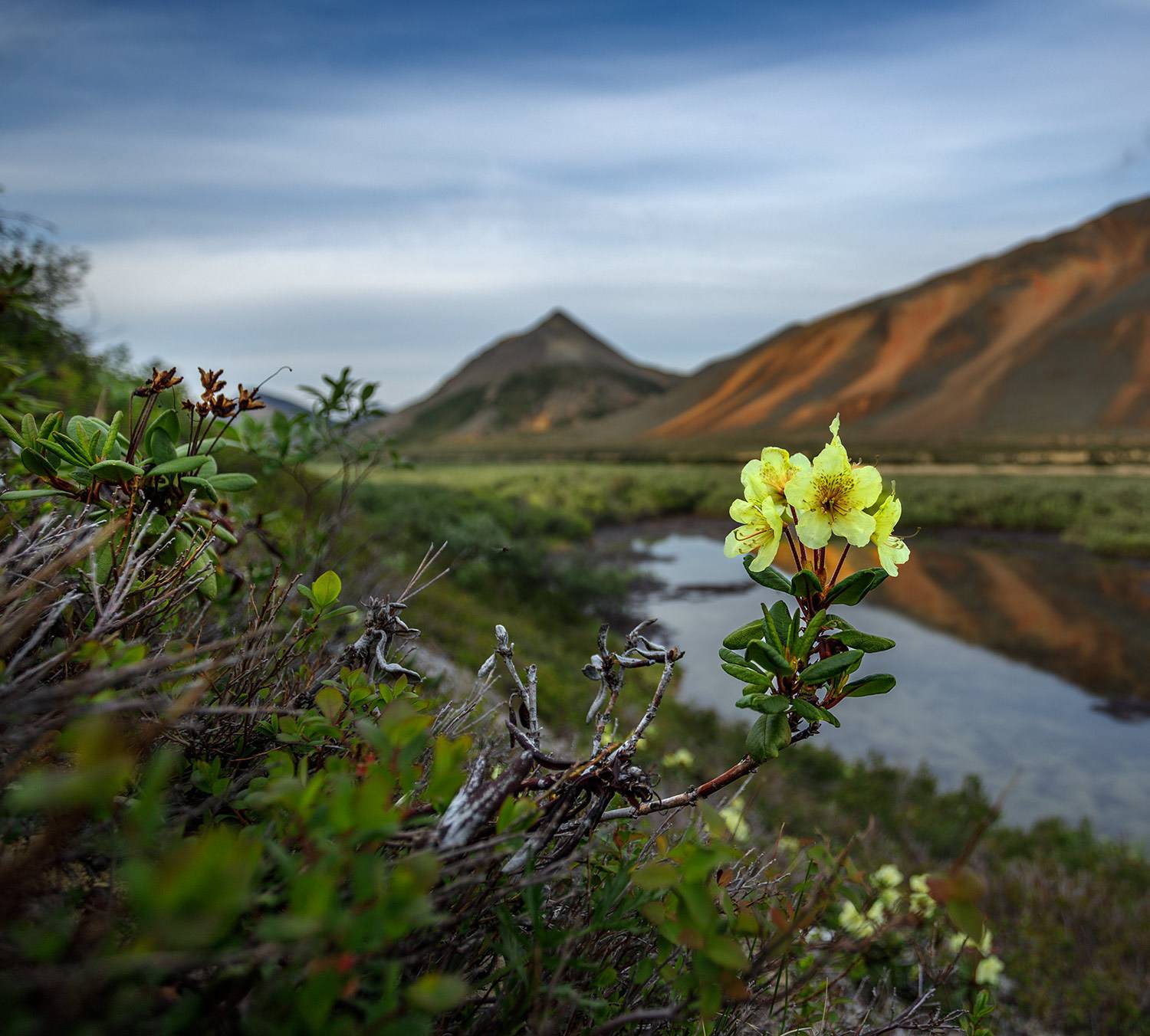 , Андреев Николай