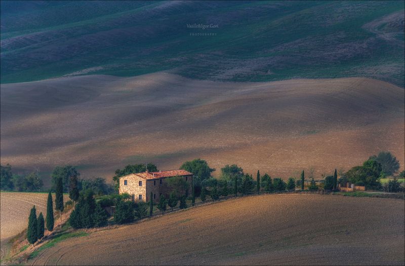 italy,san quirico d\\\'orcia,italia,италия,тоскана,pienza,кипарис,toscana,осень,tuscany,cipressi,belvedere,пьенца,тени,nature,agriculture,rural \