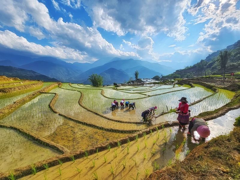 Farm Lifephoto preview