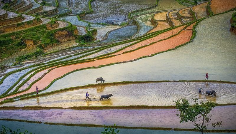 Man and Landscapephoto preview