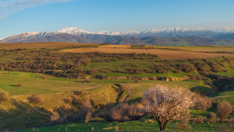 узбекистан, чимган, uzbekistan, chimgan photo preview