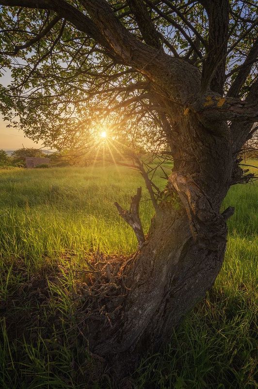 sunset, landscape, afternoon Afternoon lightphoto preview