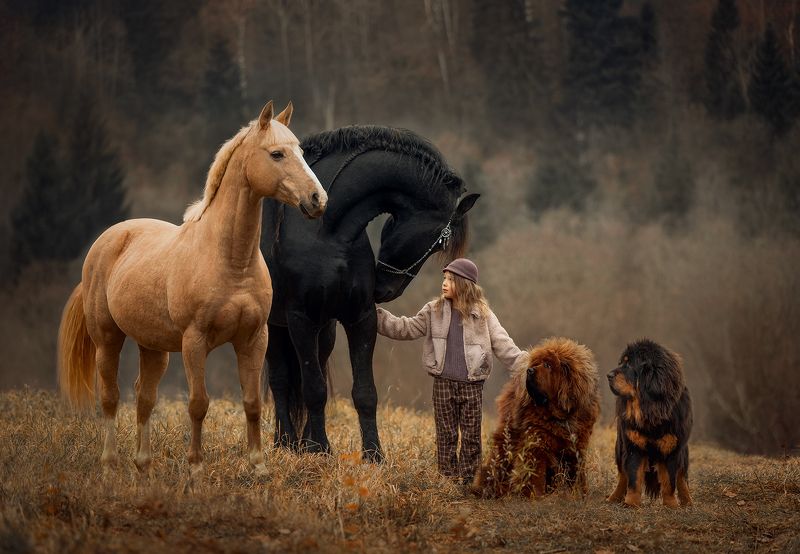 The World without gadgetsphoto preview