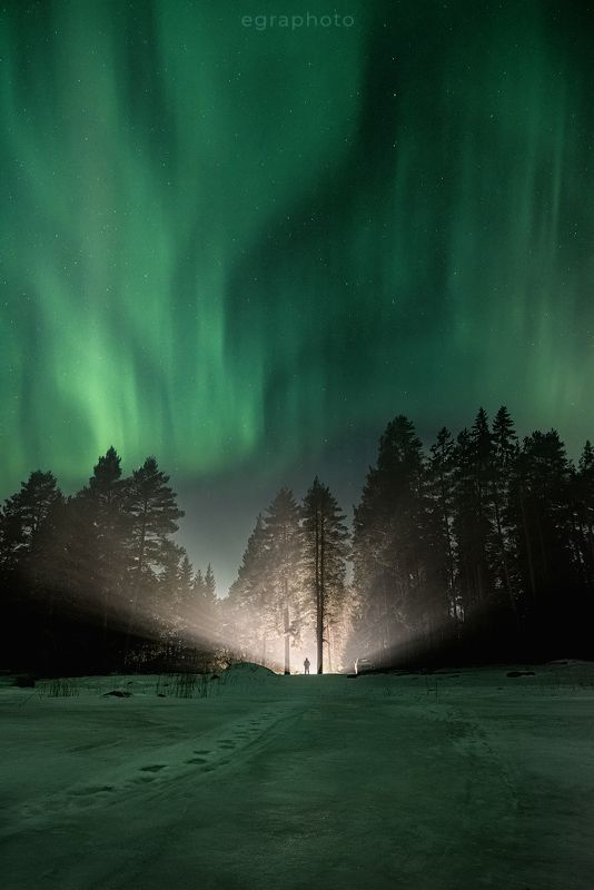 ленинградская область, россия Дождалсяphoto preview