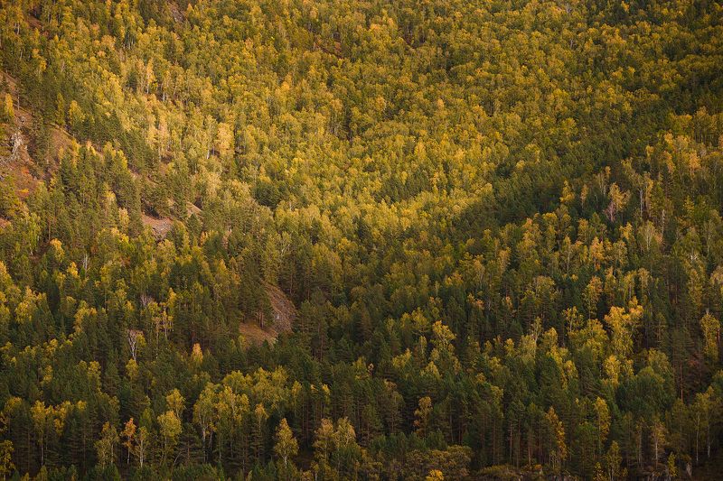 Хакасия, Борус, осень photo preview