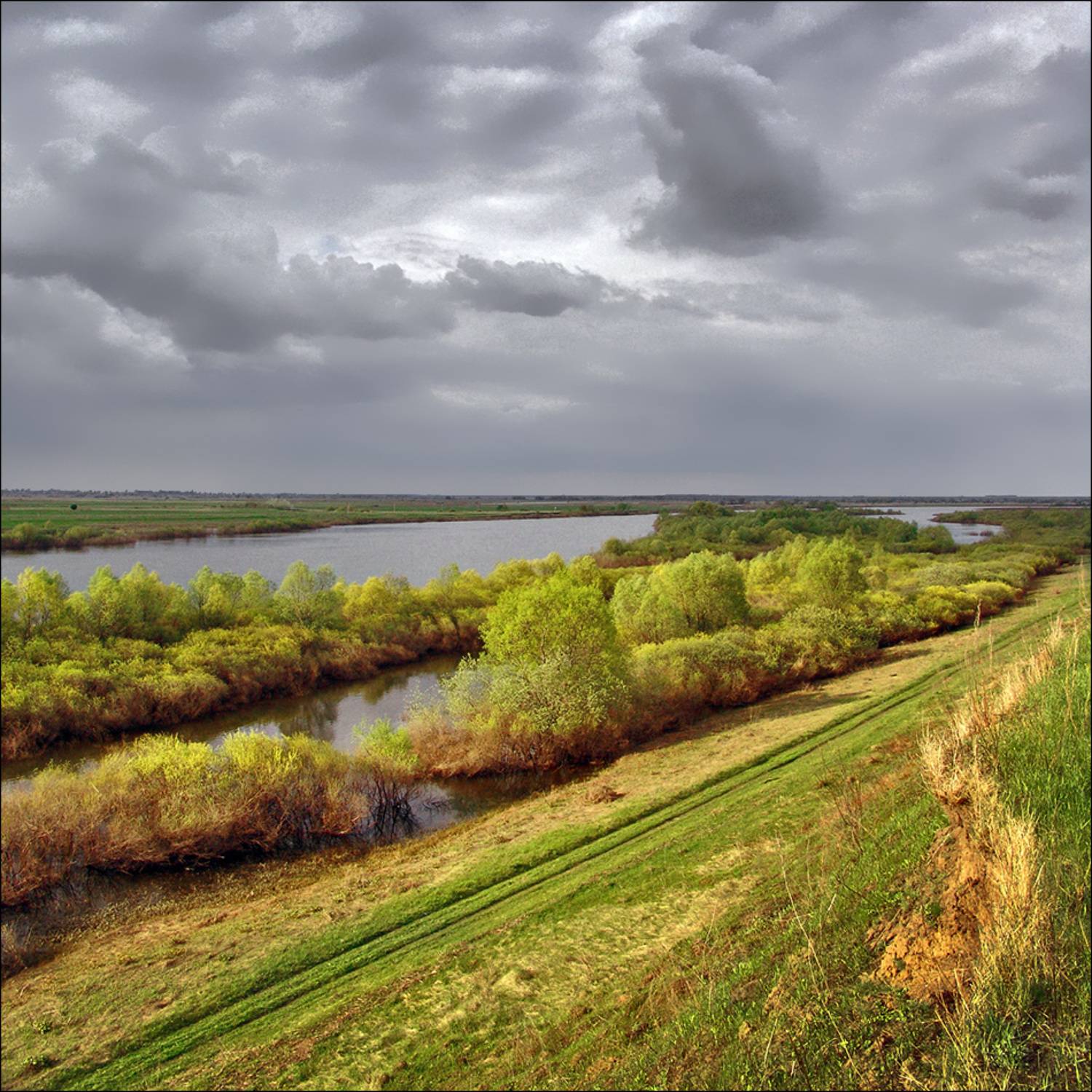 , Тарасов Алексей