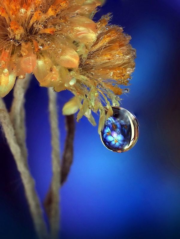 Отражениеphoto preview