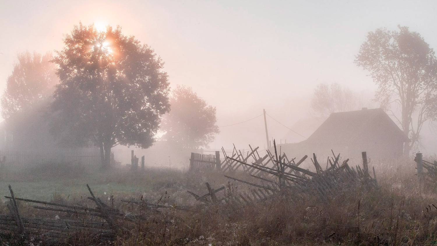 Забористое. Автор: Yuri Ovchinnikov , Yuri Ovchinnikov