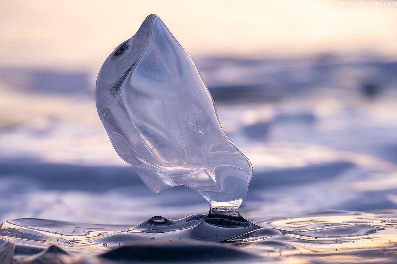 байкал, фототур, яковлевфототур, фототурнабайкал, сибирь Дельфинphoto preview