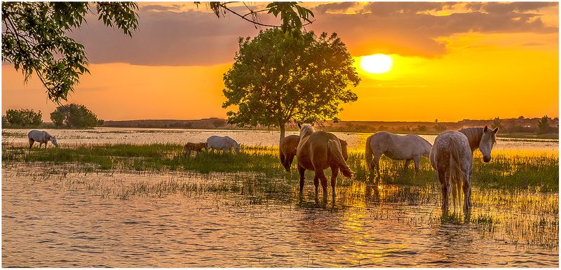 у села  камышово ПОЛОВОДЬЕphoto preview