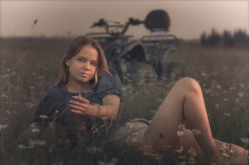 evening meadow  sundown  serenity ~~~photo preview